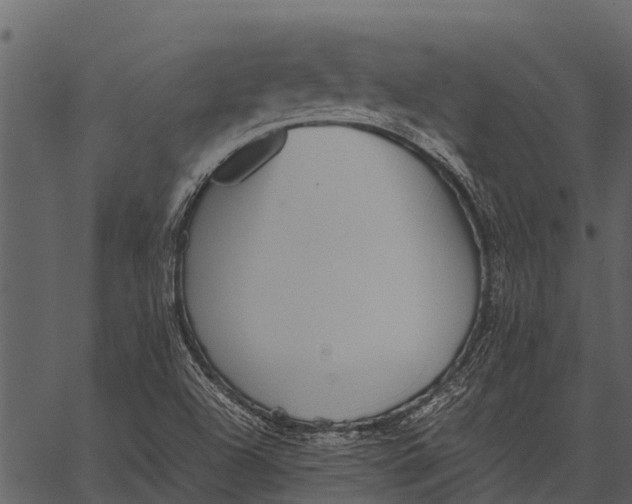 X0000062651504200601111138