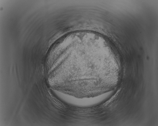 X0000062651505200601111138