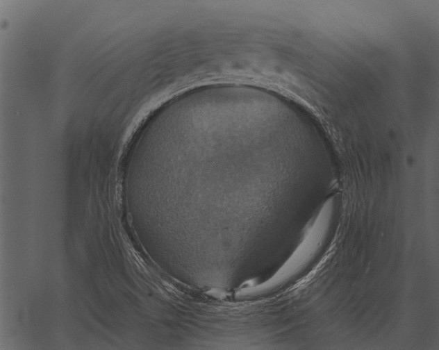 X0000062651506200601111138