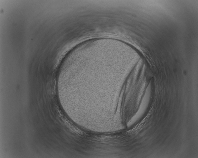 X0000062651507200601111138