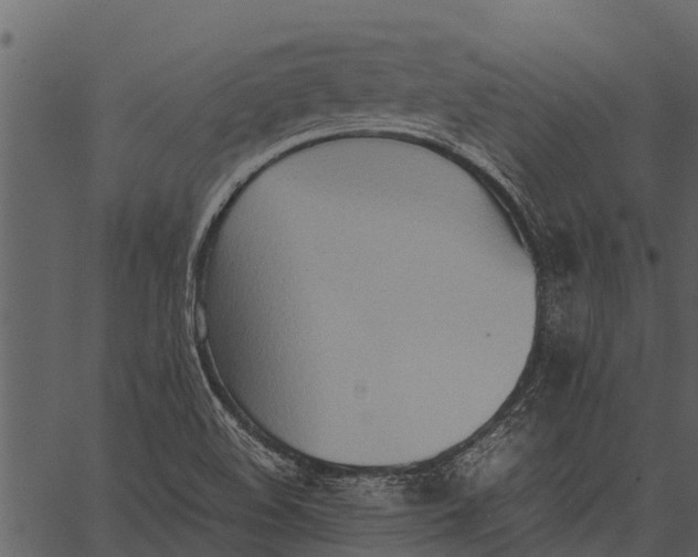 X0000062651508200601111138