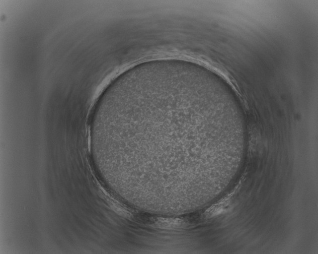 X0000062651509200601111138