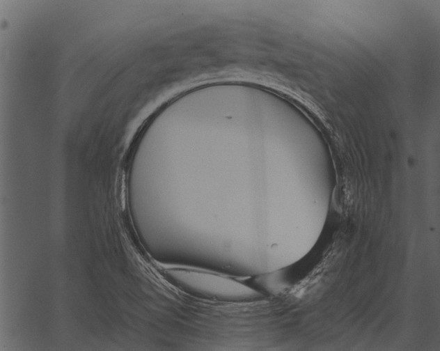 X0000062651510200601111138