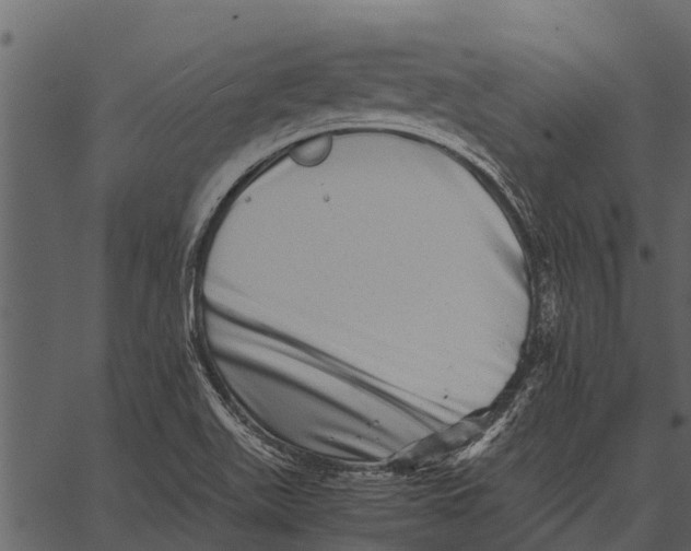 X0000062651511200601111138