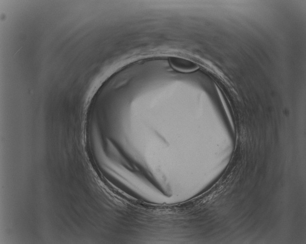 X0000062651512200601111138