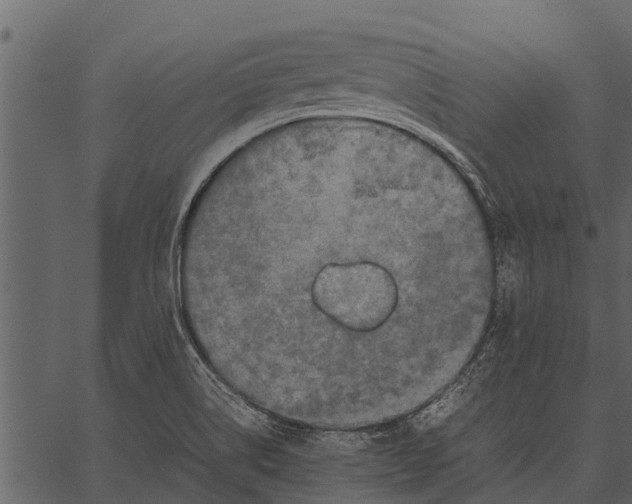 X0000062651514200601111138