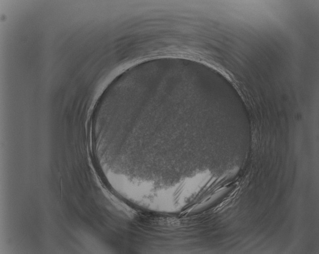 X0000062651515200601111138