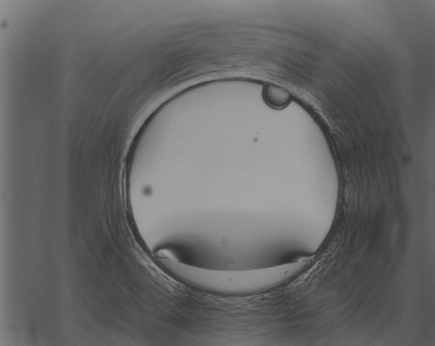 X0000062651516200601111138