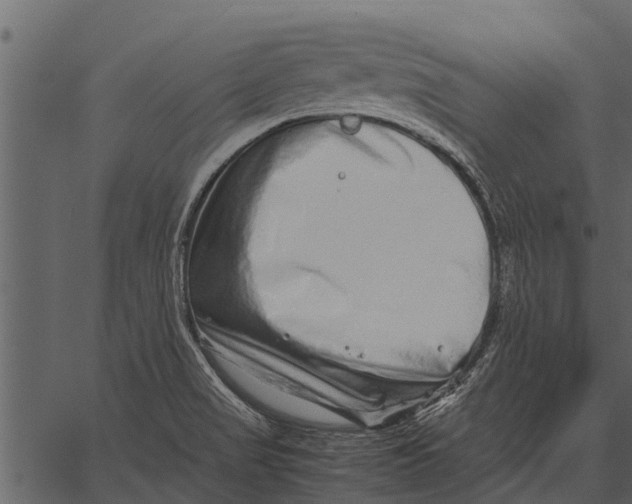 X0000062651517200601111138