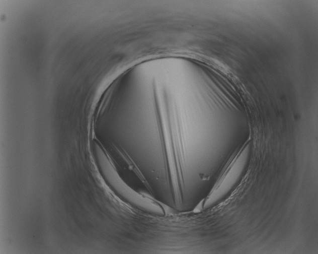 X0000062651520200601111138