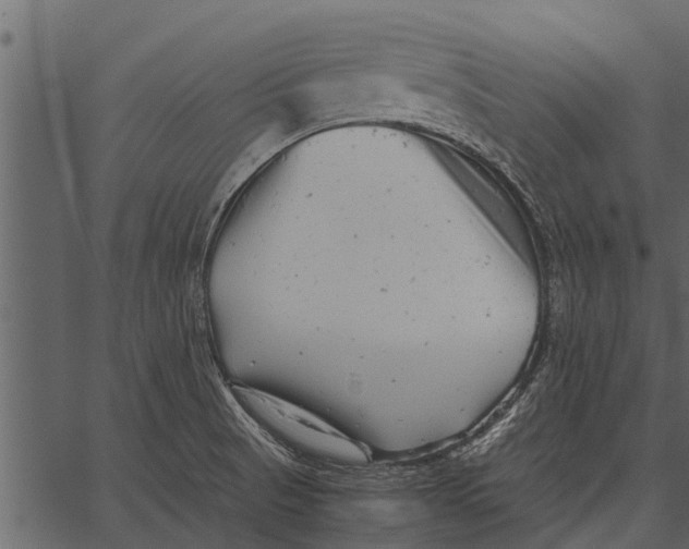 X0000062651521200601111138