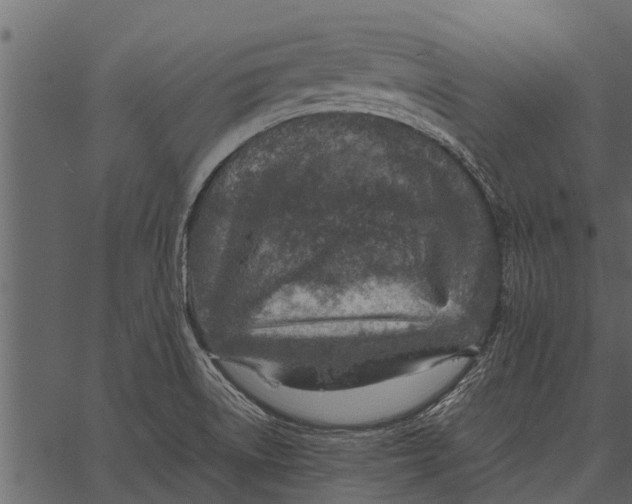 X0000062651522200601111138