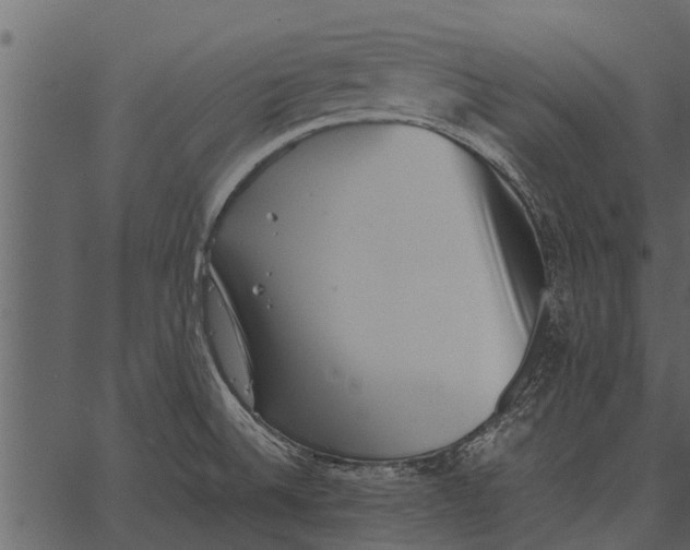 X0000062651524200601111138