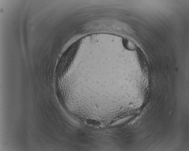 X0000062651525200601111138