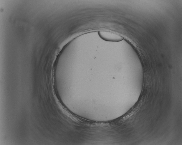 X0000062651526200601111138