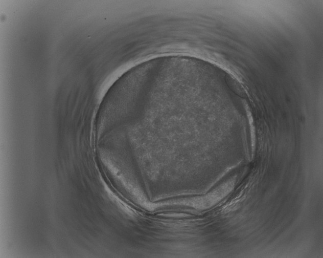 X0000062651527200601111138