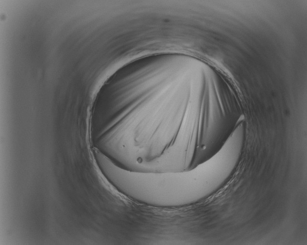 X0000062651528200601111138