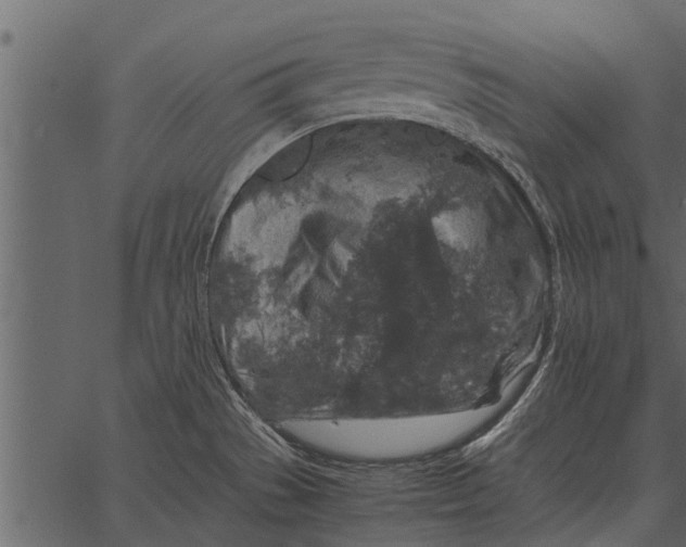 X0000062651529200601111138