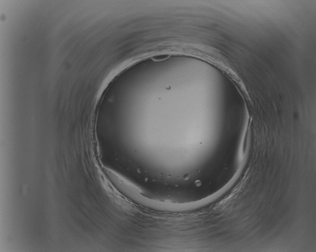 X0000062651530200601111138