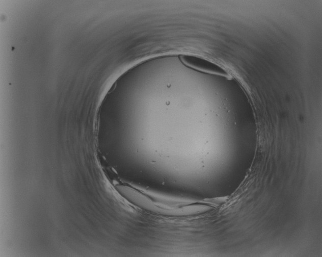 X0000062651532200601111138