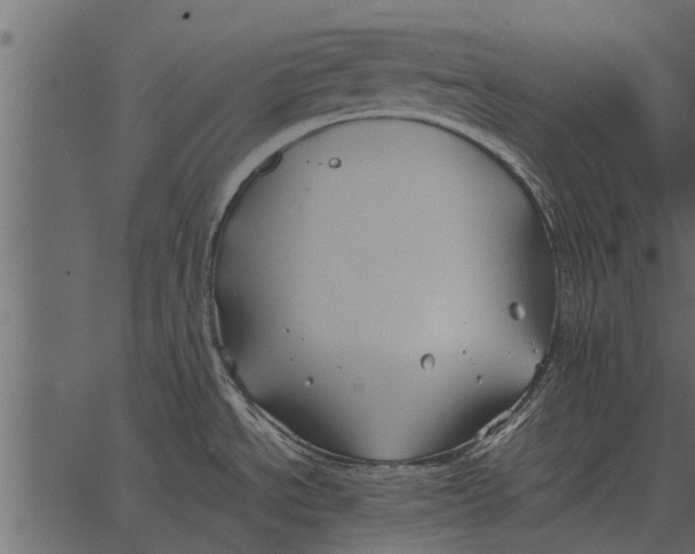 X0000062651534200601111138