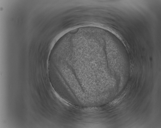 X0000062651535200601111138