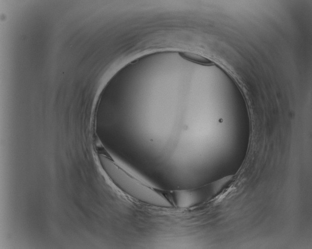 X0000062651536200601111138