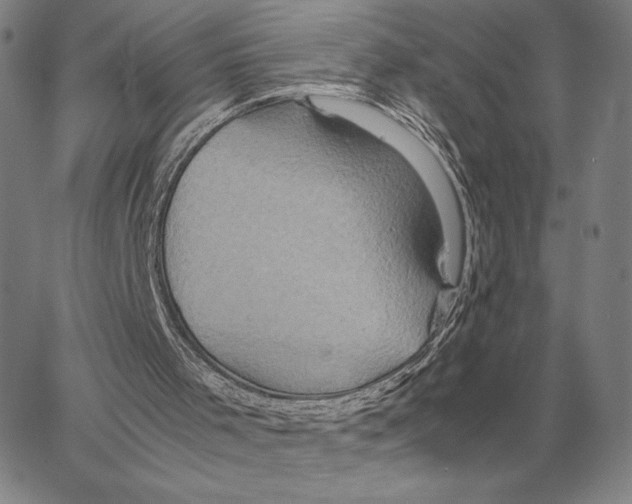 X0000062650001200601181821