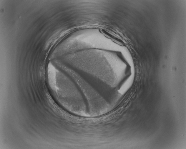 X0000062650002200601181821