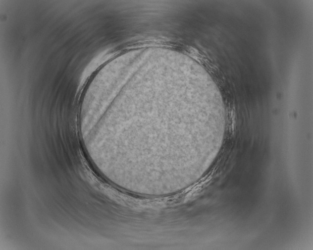 X0000062650004200601181821