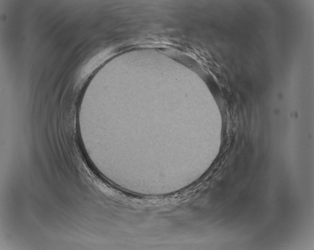 X0000062650005200601181821