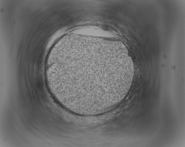 X0000062650006200601181821