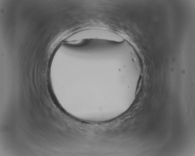 X0000062650007200601181821