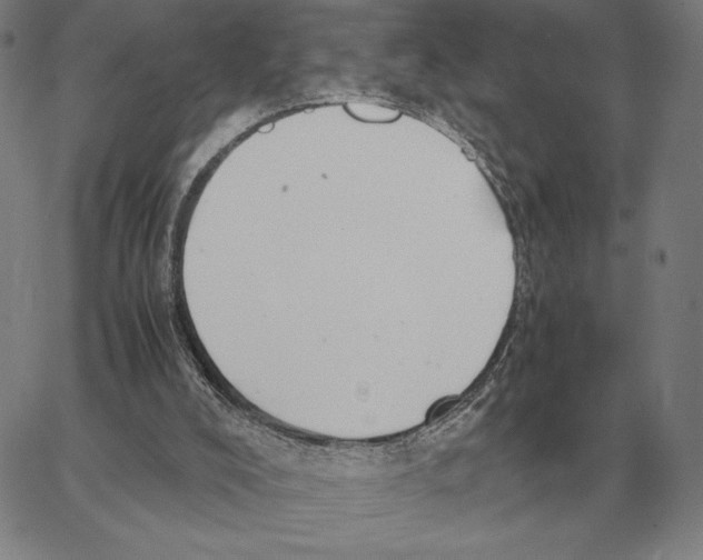 X0000062650008200601181821