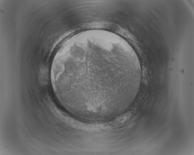 X0000062650012200601181821