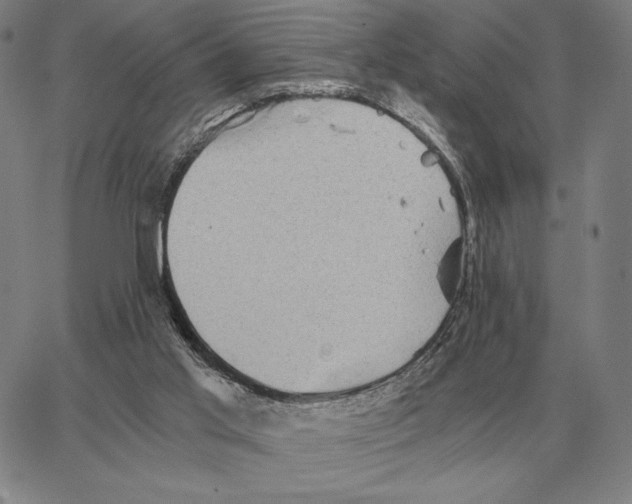 X0000062650013200601181821