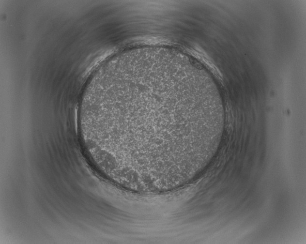 X0000062650014200601181821