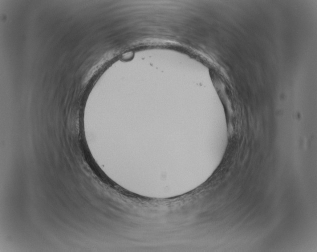 X0000062650015200601181821