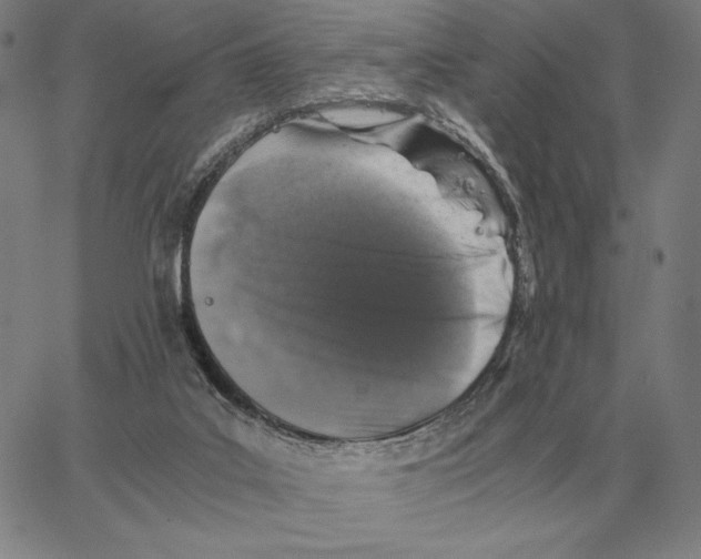 X0000062650019200601181821