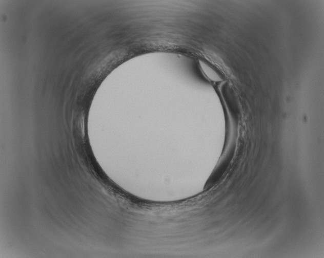 X0000062650021200601181821