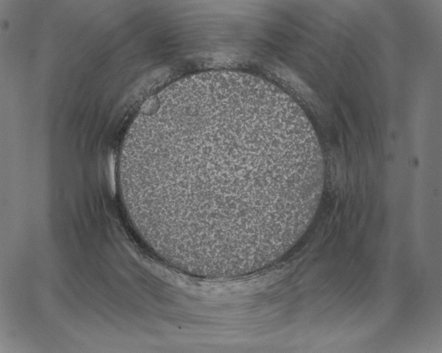 X0000062650022200601181821