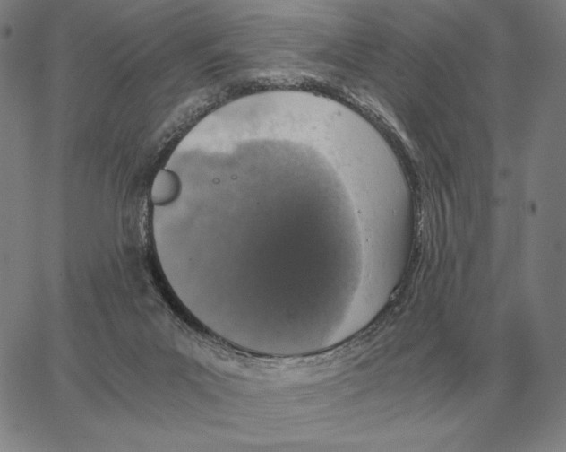 X0000062650023200601181821