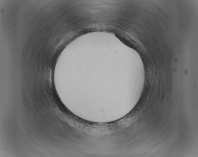 X0000062650024200601181821