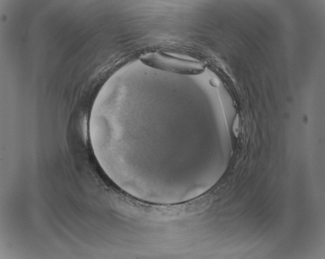 X0000062650027200601181821