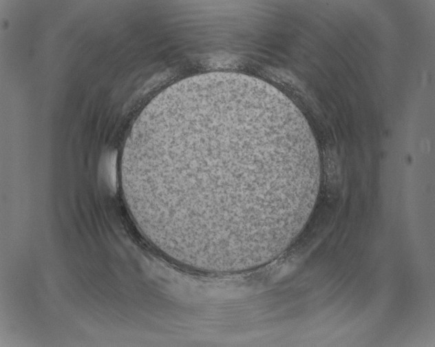 X0000062650028200601181821