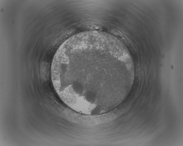 X0000062650030200601181821