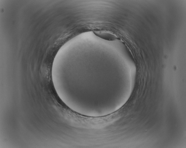 X0000062650031200601181821