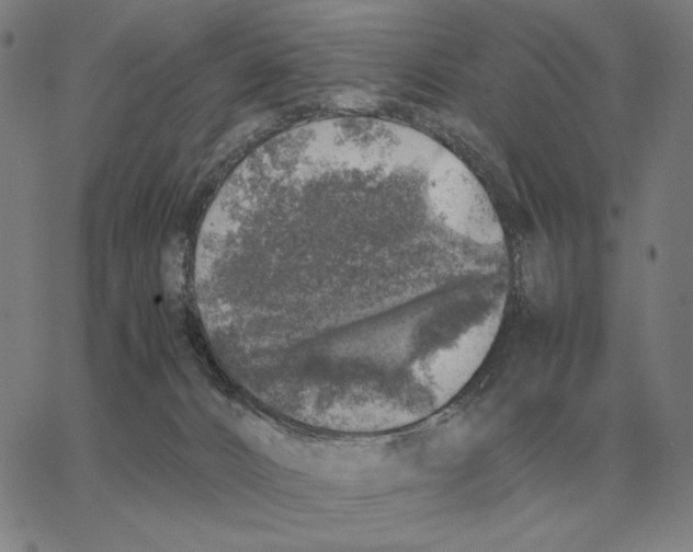 X0000062650032200601181821