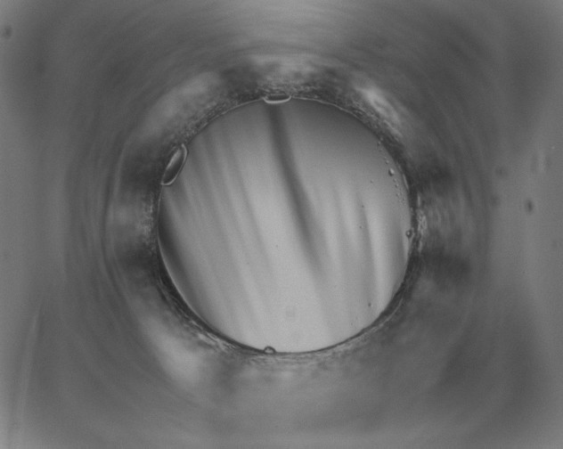 X0000062650033200601181821