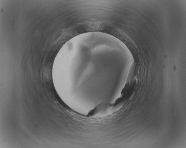 X0000062650035200601181821